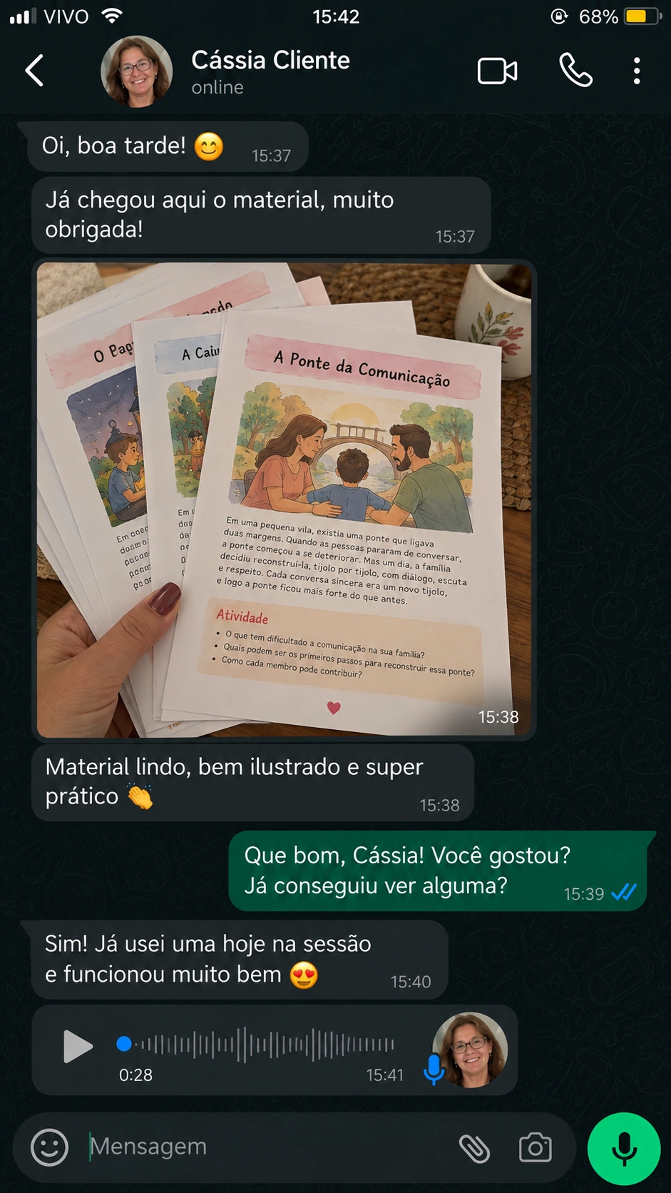 Print 2 de conversa sobre Terapia Familiar